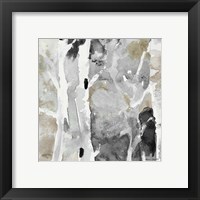 Evening Forest I Framed Print