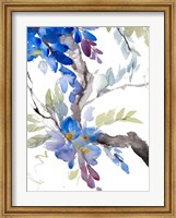 Framed Peaceful Wisteria