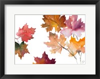 Harvest Leaves II Framed Print