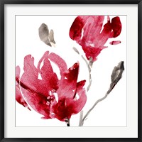 Framed Red Magnolias