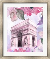 Framed Parisian Blossoms II