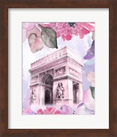 Framed 'Parisian Blossoms II' border=