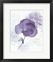 Translucent Mauve Poppy I Framed Print