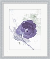 Framed Translucent Mauve Poppy II