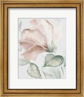 Framed Neutral Hibiscus I