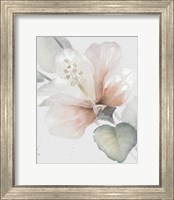 Framed 'Neutral Hibiscus II' border=