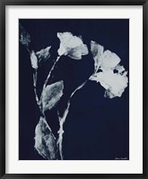 Framed Floral Whisper In The Dark II