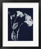 Framed Floral Whisper In The Dark II