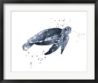 Framed Navy Ink Turtle II