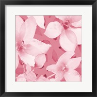 Framed 'Blooming Pink Whispers I' border=