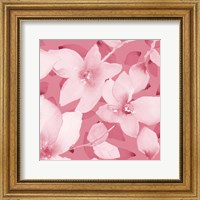 Framed 'Blooming Pink Whispers II' border=