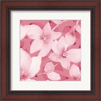 Framed Blooming Pink Whispers II