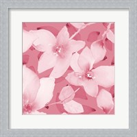 Framed 'Blooming Pink Whispers II' border=