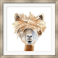 Framed Llama with Bangs