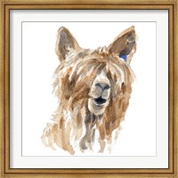 Framed Shaggy Llama