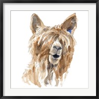 Framed Shaggy Llama
