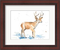 Framed Watercolor Deer