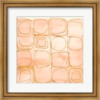 Framed Circular Squares of Peach