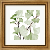 Framed Mint Ginko Stems I