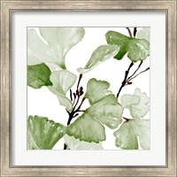 Framed Mint Ginko Stems II