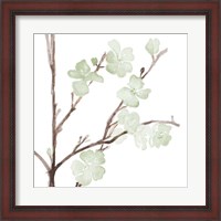 Framed Mint Bloom Stems