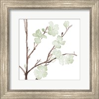 Framed Mint Bloom Stems