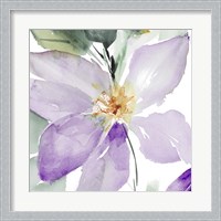 Framed 'Clematis in Purple Shades I' border=