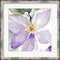 Framed Clematis in Purple Shades I