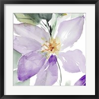 Framed Clematis in Purple Shades I