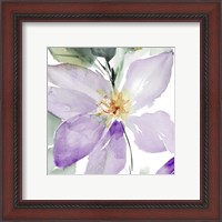 Framed 'Clematis in Purple Shades I' border=