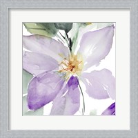 Framed 'Clematis in Purple Shades I' border=