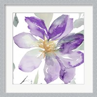 Framed 'Clematis in Purple Shades II' border=