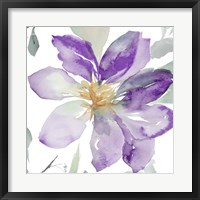 Framed Clematis in Purple Shades II