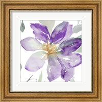 Framed Clematis in Purple Shades II