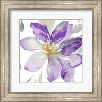 Framed Clematis in Purple Shades II