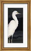 Framed Heron on Black II