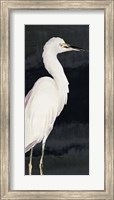 Framed Heron on Black II