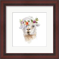 Framed 'Floral Llama IV' border=