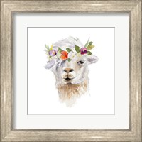 Framed Floral Llama IV