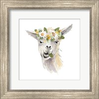 Framed 'Floral Llama III' border=