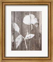 Framed Brown Floral Whisper on Wood I