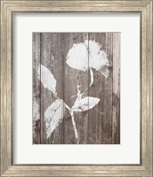 Framed Brown Floral Whisper on Wood I