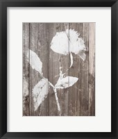 Brown Floral Whisper on Wood I Framed Print