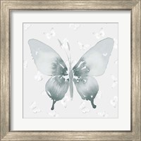 Framed 'Grey Watercolor Butterflies II' border=