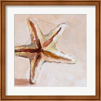 Framed 'Copper Starfish' border=