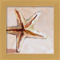 Framed 'Copper Starfish' border=