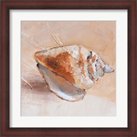 Framed Copper Sea Shell