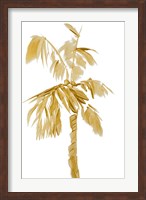 Framed Gold Palms IV