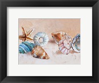 Framed Shells on the Shore Rectangle