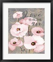 Kindle's Blush Poppies I Framed Print